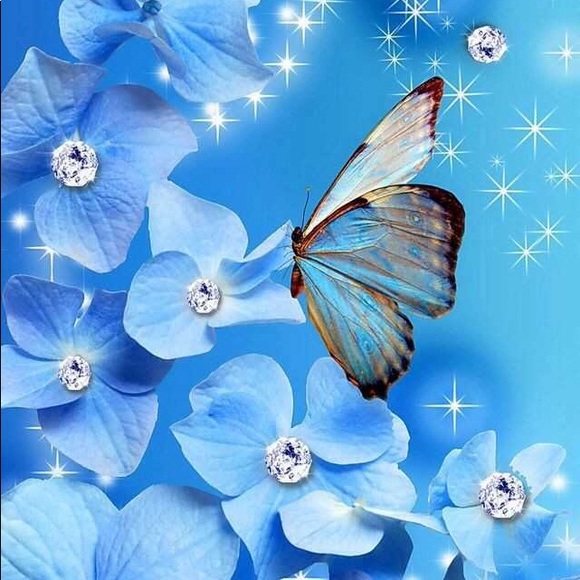 Meet your Posher, Nancy - Picture 1 of 1